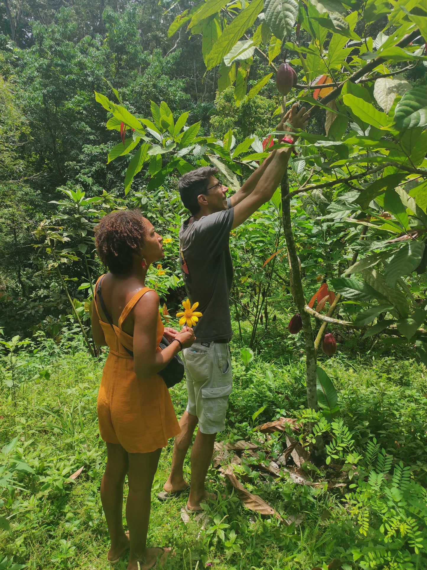 CACAO TOURS "De la Finca a la Barra"