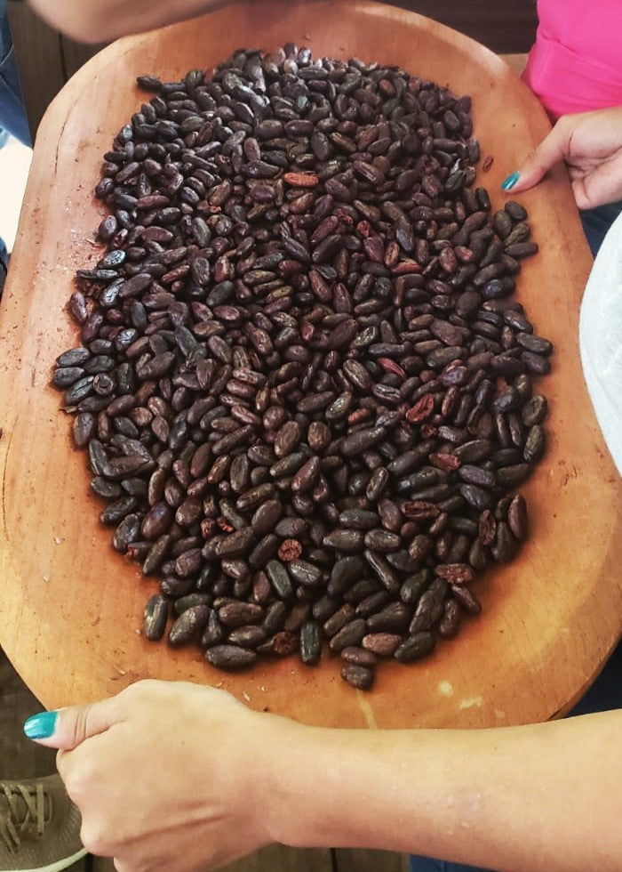 CACAO TOURS "De la Finca a la Barra"
