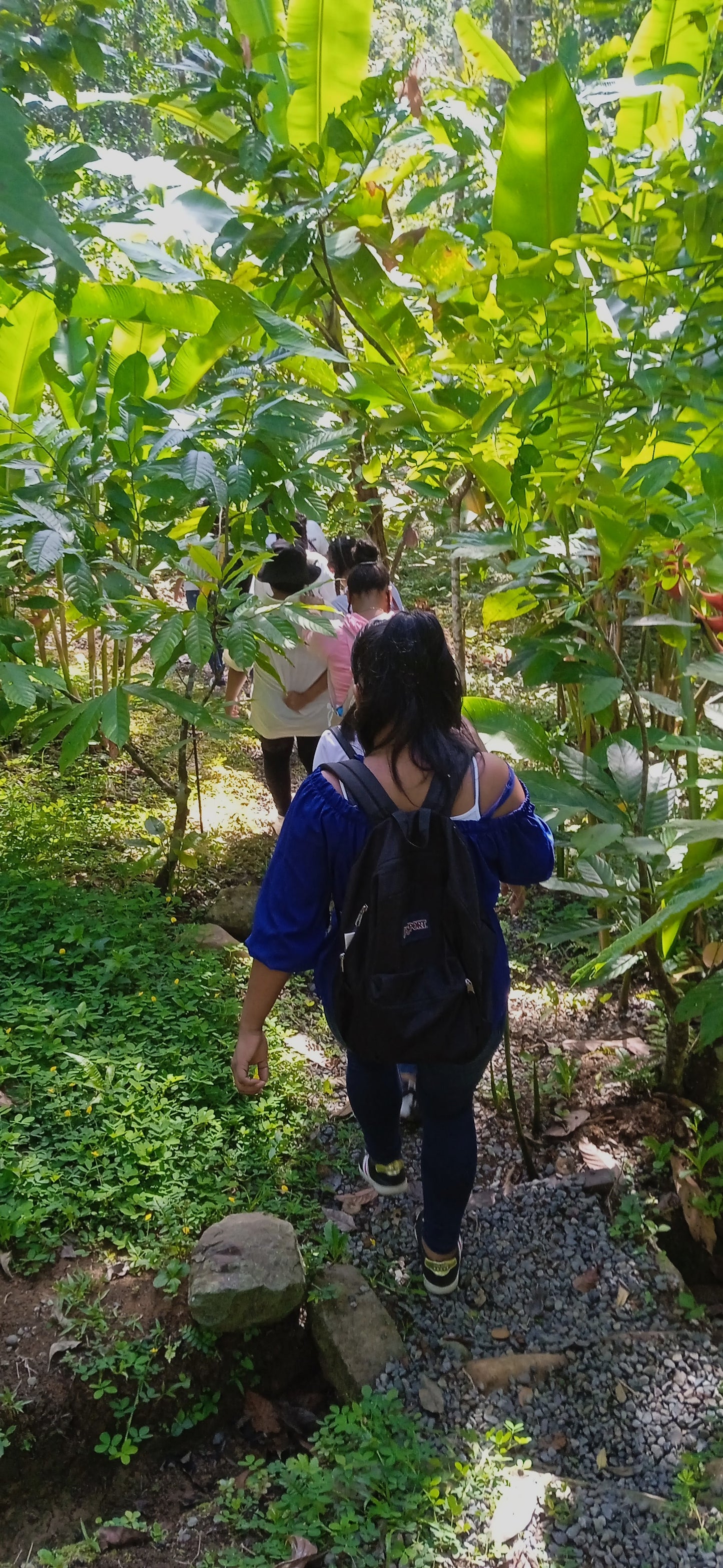 CACAO TOURS "De la Finca a la Barra"