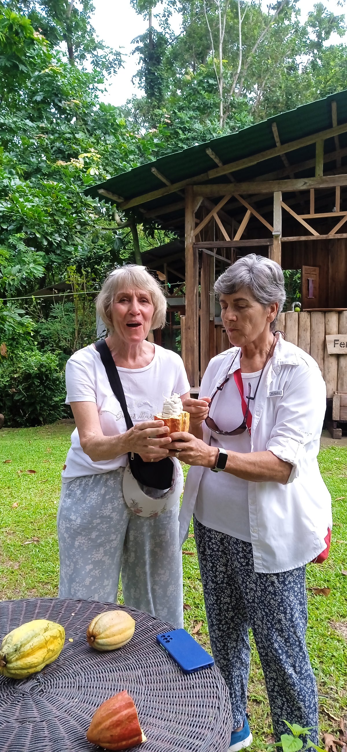 CACAO TOURS  &quot;De la Finca a la Barra&quot;